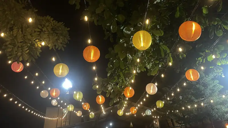 Paper lanterns and string lights glowing in the trees over an outdoor party at night.